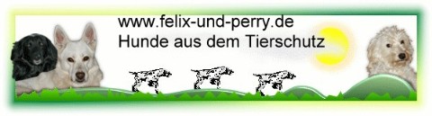 Banner_Felix_und_Perry480x129