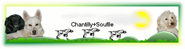 Chantilly+Souflle