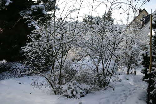 Schnee2010b